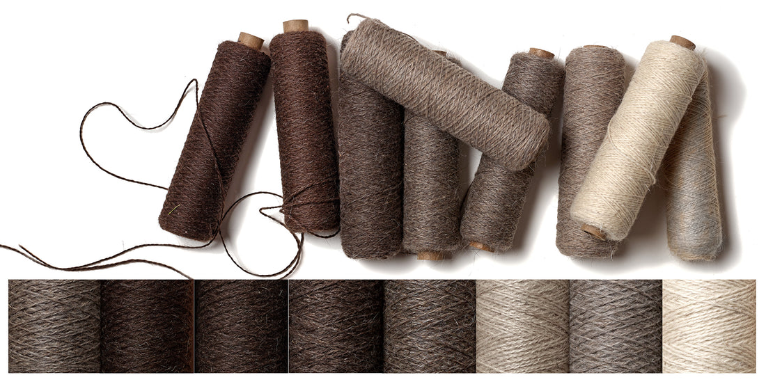 Perry Pearce needlepoint using Restoration Yarns